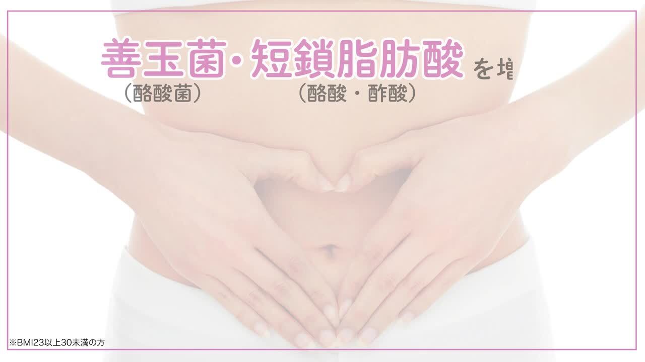 【3袋set】新品未開封 ラクビプレミアム　大人気　注目　話題作　値上げ予定 楽天市場】【今ならポイント10倍】【公式】ラクビプレミアム 3袋
