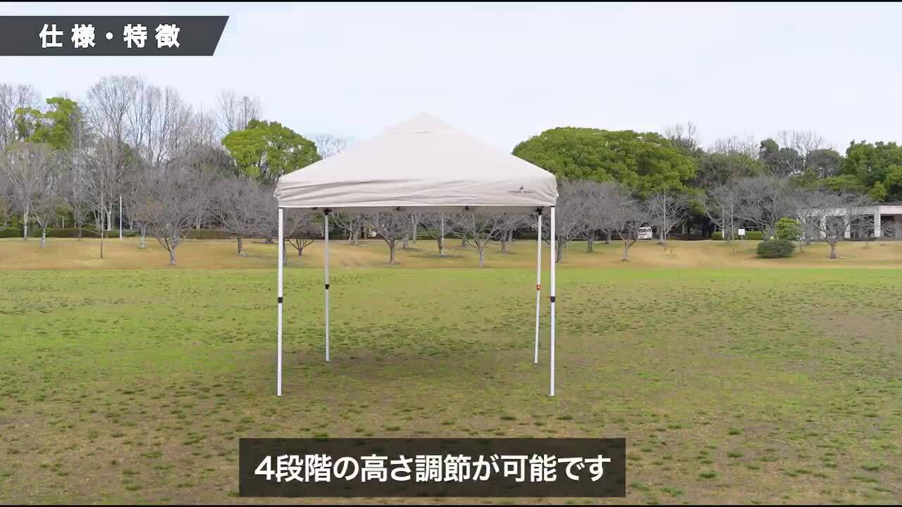 楽天市場】【30名様限定20%OFFクーポン！4/27 09:59まで】タープ