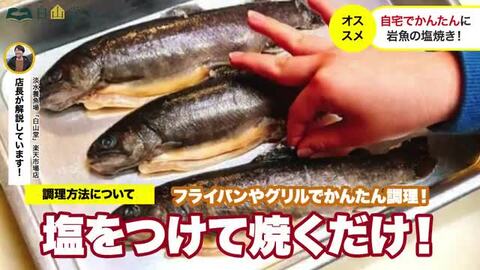 イワナ 岩魚 冷凍 川魚 養殖 3尾~20尾 骨酒 塩焼き 串焼き 海鮮 bbq 食材 魚 焼き魚 魚介類 珍しい 大人  淡水養魚場「白山堂」 