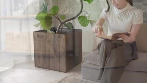 楽天市場】ガーデニング雑貨 ウッドプランター 木箱 ウッド