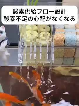楽天市場】【翌日発送】外部壁掛け式水槽フィルターボックス