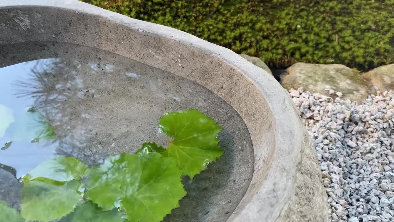 よっこさん 0310 歌い上げる 