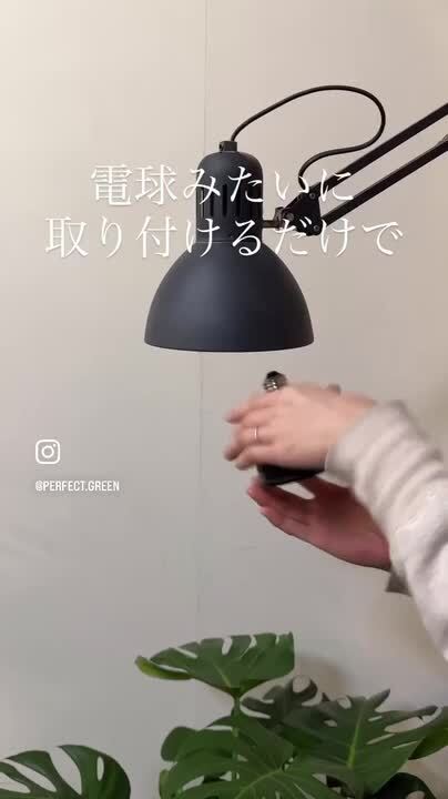 楽天市場】観葉植物 育成ライト 正規取扱い店 ホワイト ブラック