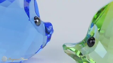 楽天市場】スワロフスキー シーライフ シェリー＆サム Swarovski