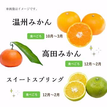 楽天市場】【ふるさと納税】柑橘詰め合わせセット(5種類・10kg 楽天市場】【ふるさと納税】柑橘詰め合わせセット(5種類・10kg