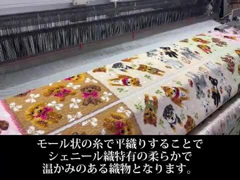 楽天市場】【クーポン有】スカーフ ショール ストール 日本製 コットン 
