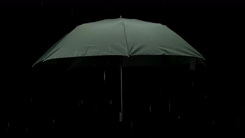 kazuさま専用 楽天市場】【1500円OFFクーポン】KAZbrella カズブレラ