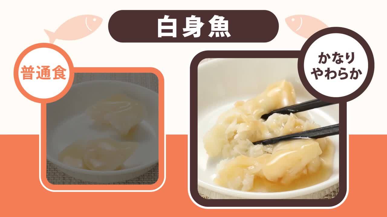 介護食一式 介護 食 高齢者 介護食 ムース 嚥下食 冷凍弁当 冷凍 弁当 嚥下