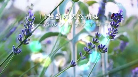 ハウスオブローゼ SUMMER HILL サマーヒル60ml 香水 ハウスオブローゼ SUMMER HILL サマーヒル60ml 香水 香水(ユニ