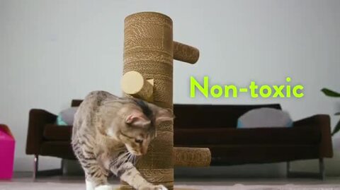 KEN　オテロイ　赤猫　ゴリ猫　超ボールタイプ　コンパクト　9 KEN オテロイ 赤猫 ゴリ猫 超ボールタイプ コンパクト 9 2025年