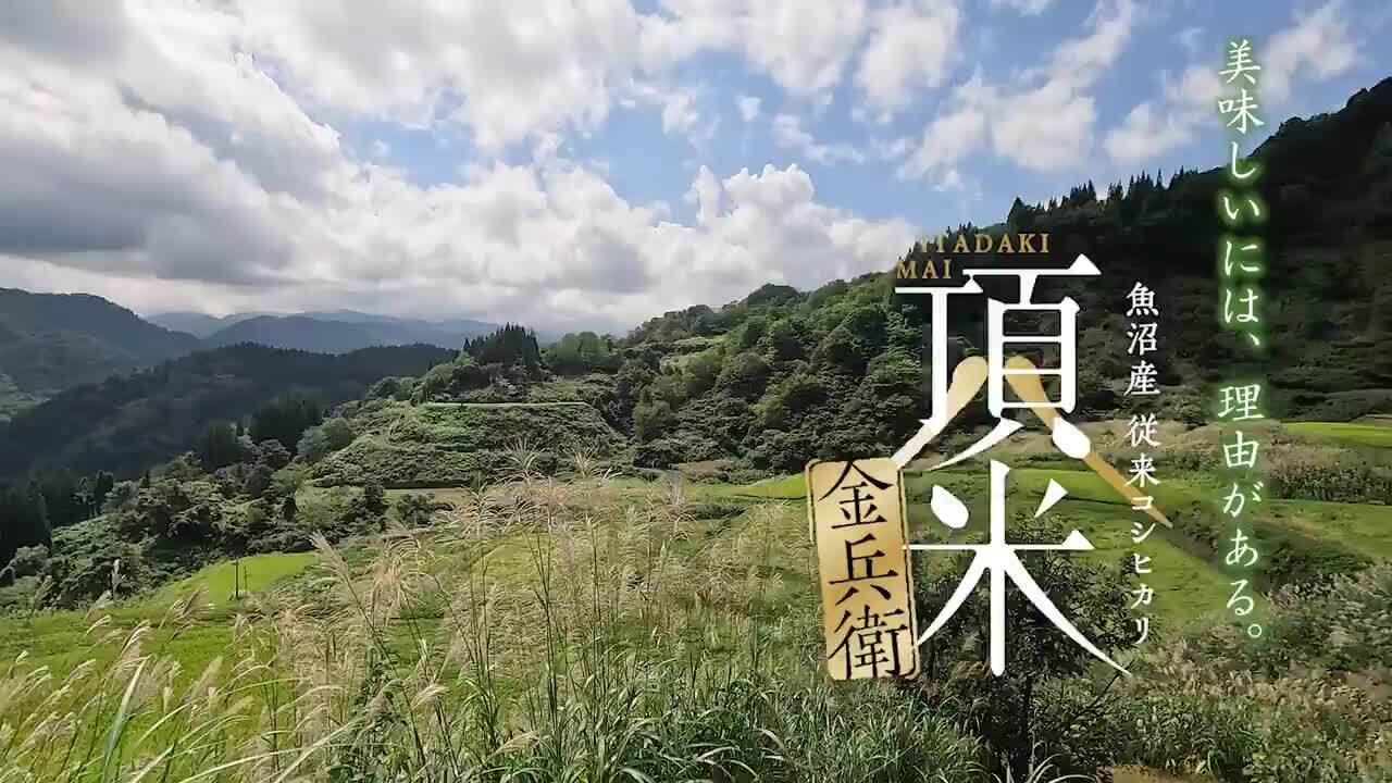 楽天市場】令和6年産 新潟県 魚沼産 コシヒカリ 頂米 銀兵衛 5kg