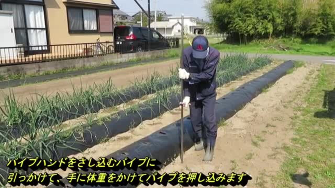 サンエー パイプ立て器 パイプステップ G32 5074 Amazon | サンエー パイプ立て器 パイプステップ G32 | パイプ