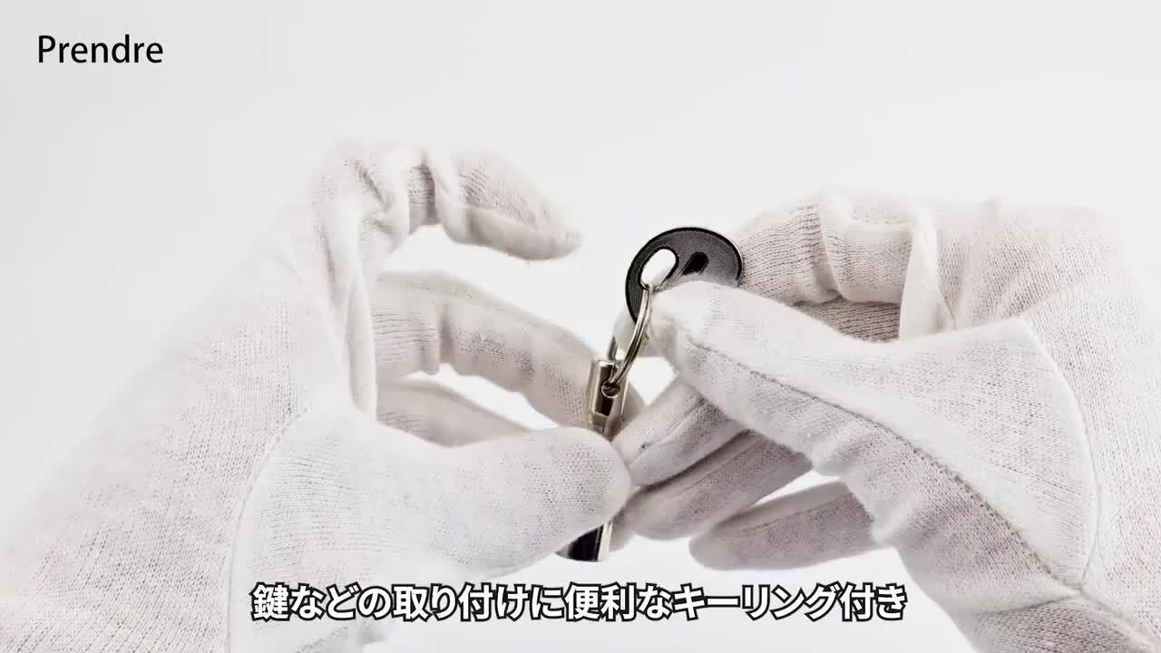 (専用ページ)マグネットキーリング ディノ マグネット付き キーホルダー キーリング ネオジウム磁石 鍵