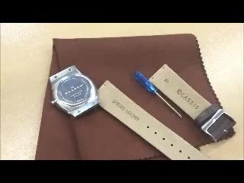 楽天市場】スカーゲン 用 時計ベルト 腕時計 ベルト 革ベルト