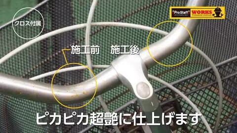 楽天市場】プロスタッフ WS 金属・プラスチッククリーナー J-43