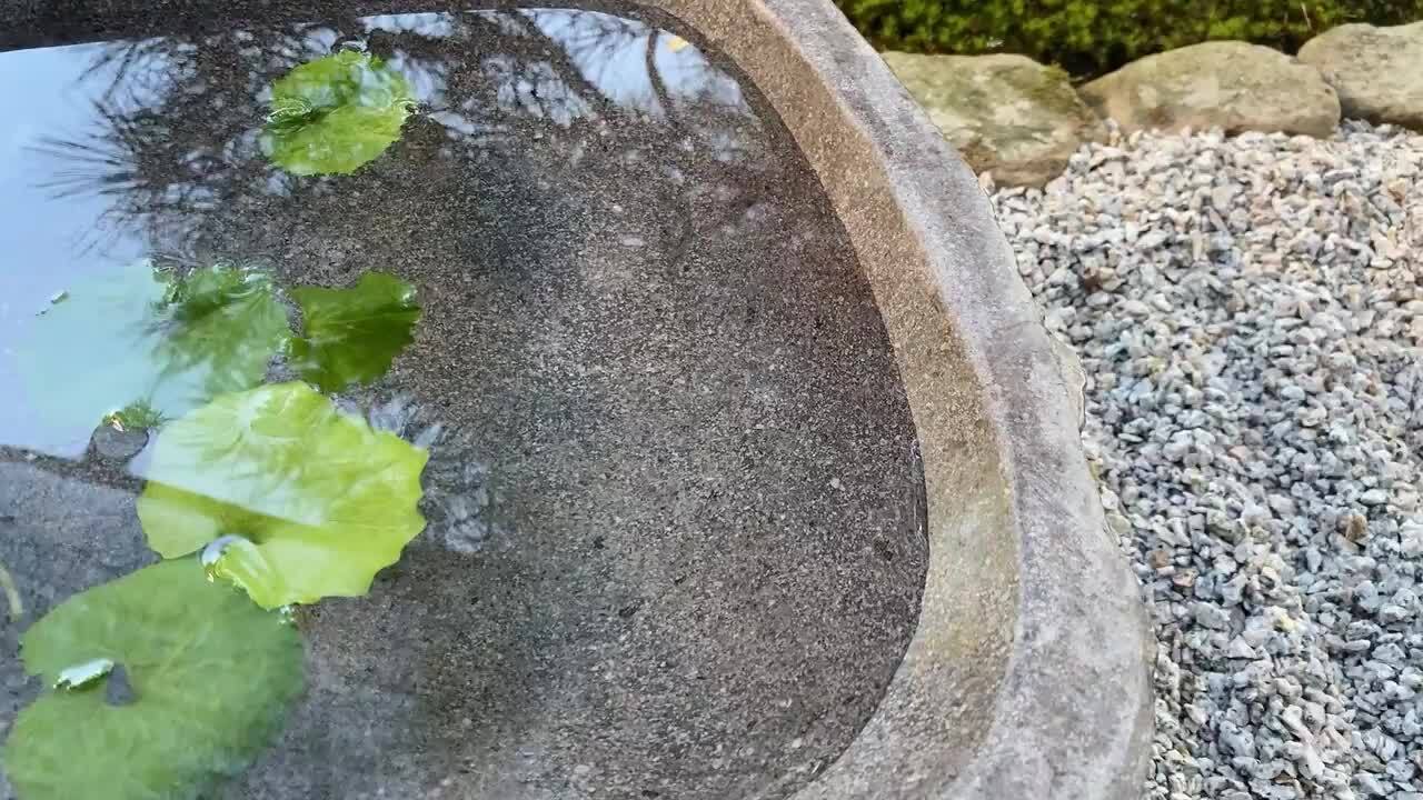 Kayaお得な天然石屋 カイヤナイト原石【天然石】（カヤナイト 藍晶石 kyanite）30g