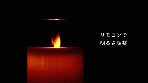 楽天市場】＼8月1日当店7倍+祝勝2倍+1デー4倍+クーポン!!／ 蝋製
