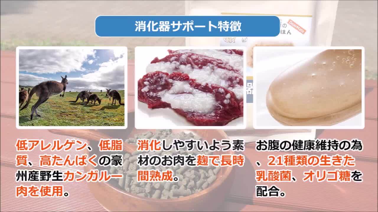 消化器サポート(低脂肪))1㌔✖️2袋 消化器サポート 低脂肪（犬用 ドライ） | Royal Canin JP