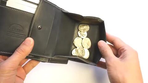 楽天市場】【安心の3年保証付】 CORBO. コルボ-Curious