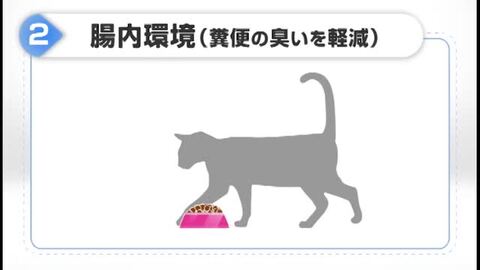 楽天市場】【あす楽】ロイヤルカナン インドア 2kg / 室内で生活する成