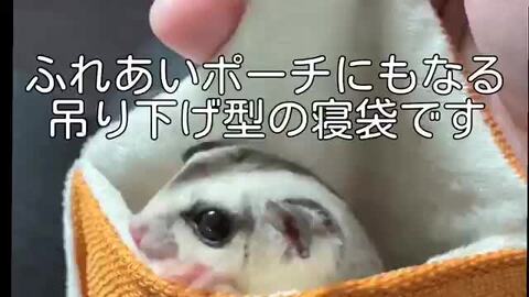 楽天市場】ゆうパケットOK ももんがもんもん共和国オリジナル