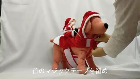 楽天市場】【サンタ ロデオ】 犬服 トナカイ コスプレ 秋 中型犬