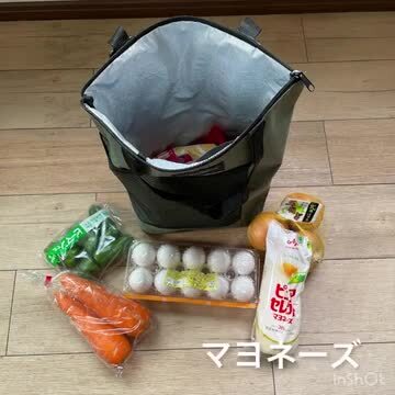 978.1011保冷剤リュック 比較可能な