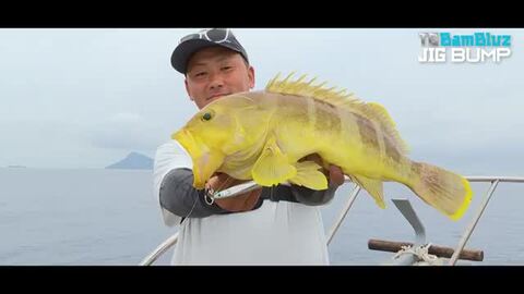 楽天市場】ジャッカル(JACKALL) TGバンブルズジグ バンプ 【釣り