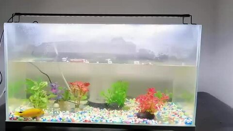 楽天市場】水槽ライト 水槽 ライト 水槽 LEDライト タイマー