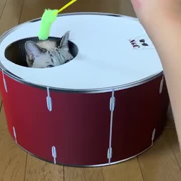 楽天市場 猫 ダンボールハウス つめとぎ オシャレ Catドラム爪とがニャー 直径約37 高さ約18cm 新生活 お祝い 記念 爪とぎ 手作り おしゃれ かわいい ペットベッド ドーム 段ボール 爪研ぎ 爪みがき 一人遊び おもちゃ ハンドルカバーのmugyutto