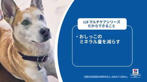 ヒルズ プリスクリプションダイエット c/d マルチケア メタボリックス 3kg Amazon | ヒルズ プリスクリプションダイエット キャットフード