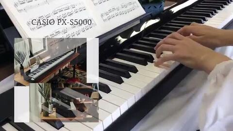 楽天市場】カシオ PX-S5000BK【楽器店専用モデル】 電子ピアノ