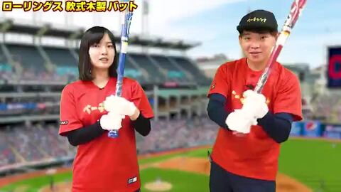 楽天市場】【交換往復送料無料】 ローリングス Rawlings バット