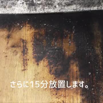 楽天市場 250件以上が 5の カビ取り剤 カビ カビトリ カビ取り 木材 木枠 布団 畳 マットレス 業務用 にも お風呂 カビ掃除 掃除 大掃除 カビホワイト グリーン カビ取り ソフト除去スプレー450ml 布製品の色柄物不可 ハウスクリーニング 送料無料 水垢 水あか