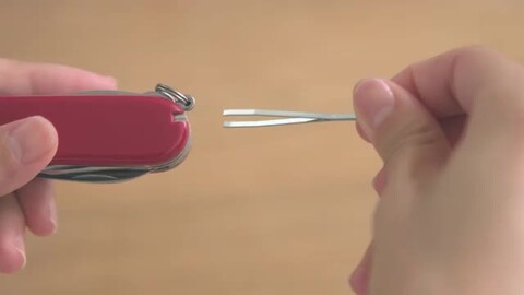 楽天市場】公式限定レビュー特典 ビクトリノックス VICTORINOX