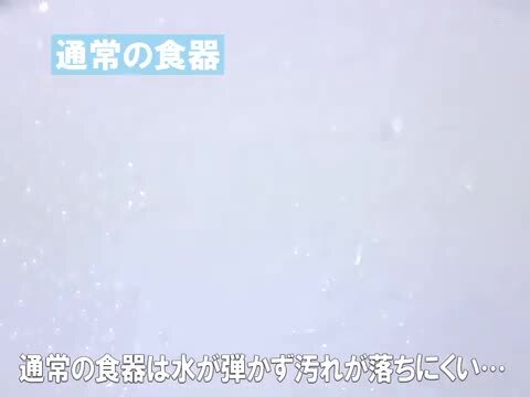 楽天市場】ツープレート クリーンコート加工 食器 山中塗 日本製 （ 電子レンジ対応 お皿 食洗機対応 皿 和食器 割れにくい プレート 仕切り皿  仕切り 器 うつわ 汚れにくい電子レンジ 食洗機 対応 漆塗り プラスチック 黒 ） 【3980円以上送料無料】 : お弁当グッズの ...