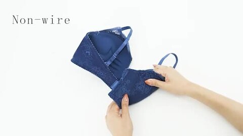 楽天市場】大きいサイズ ブラジャー ショーツ セット