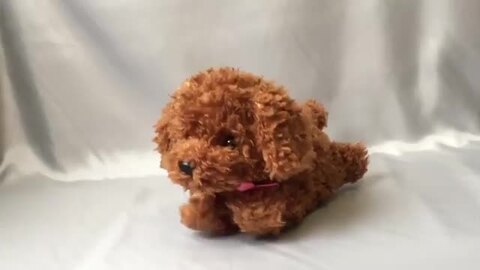 アオシン　元気な仔犬　日本製 Amazon.co.jp: 三英貿易 日本製 グレイスフル 仔犬シリーズ 秋田
