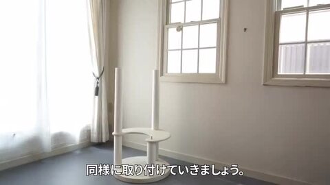 Amazon.co.jp: PAPER NEW STANDARD ツインキャッスル キャット