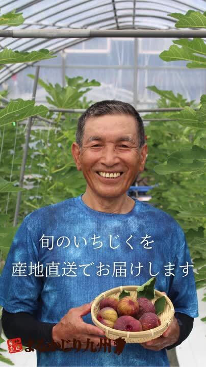 いのちを守る農場から 送料無料 いのちを守る農場から 送料無料 いのちを守る農場から 送料無料