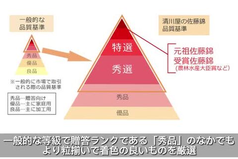 楽天市場】母の日さくらんぼ 佐藤錦 L 24粒 木箱 ( 清川屋の