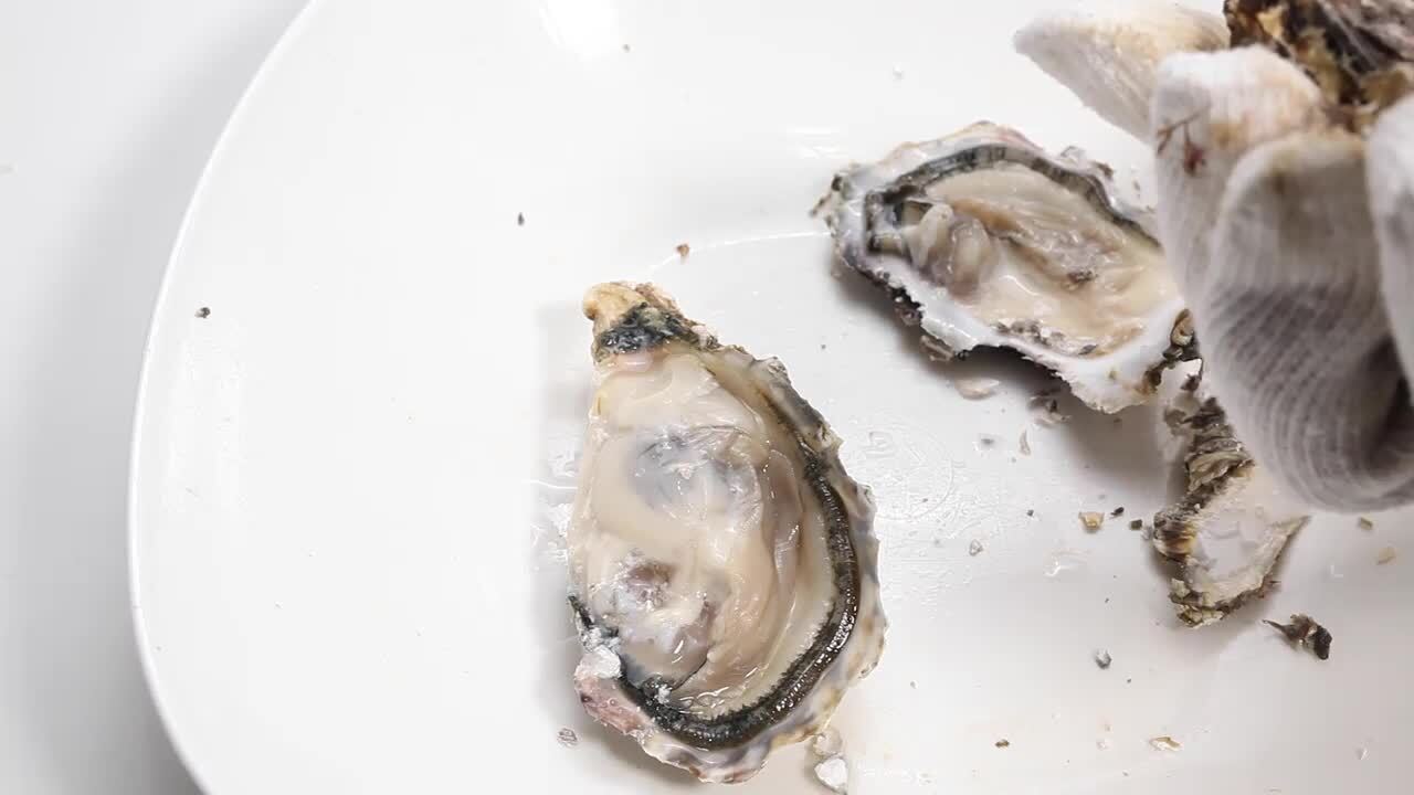 楽天市場】あす楽 牡蠣 殻付き 半缶 約5kg 一斗缶 約10kg 日生