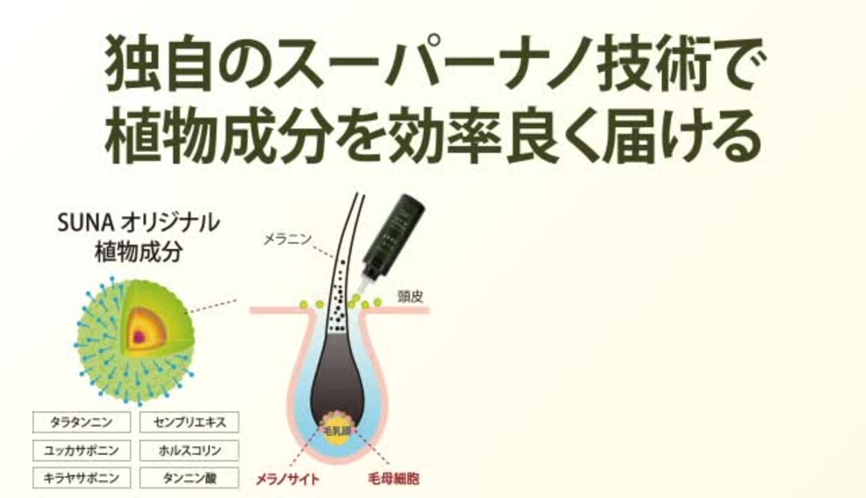 楽天市場】【ポイント2倍+クーポン配布中】染めない毛髪ケア