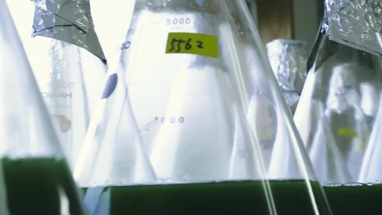2点セット①クマザサ温浴湯200ml②セラミドシャンプー200ml クマザサ温浴 | Monamour