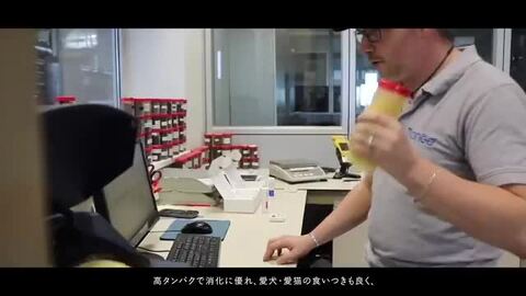 楽天市場】[ ELMO ] エルモ プロフェッショナーレ グローアップ