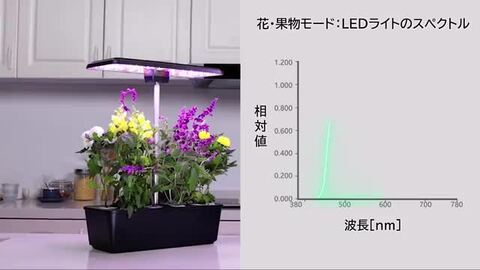 120 * 60 * 180ホーム使用窓ブラック栽培ボックス屋内水耕栽培ルーム