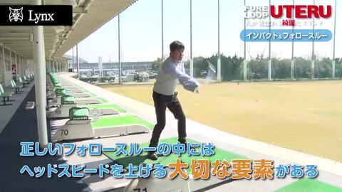 楽天市場】リンクス カウンター スイング ゴルフ ブラック