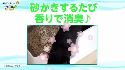 楽天市場】【ユニ・チャーム】デオトイレ 消臭・抗菌シ−ト 20枚
