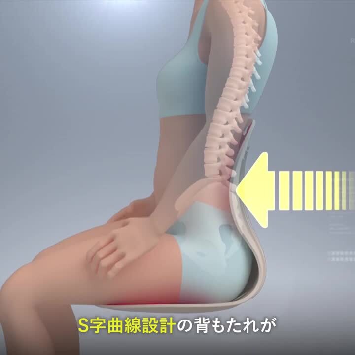 楽天市場】ピンセスジ【 椅子 綺麗 姿勢 サポート 韓国 新感覚