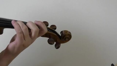 楽天市場】【19世紀ハンガリー最高の名匠】Samuel Nemessanyi